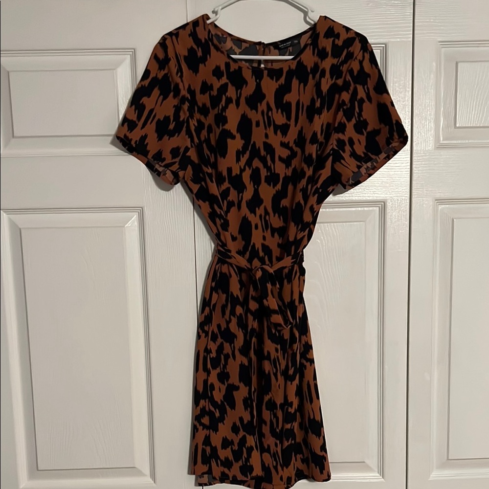 SHEIN Brown and Black Dolman Sleeve Mini Sundress